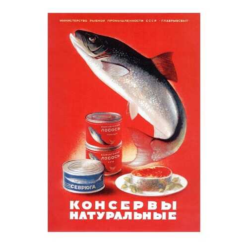 Плакат СТ-Диалог Консервы натуральные, СОВ-535, лам.бумага, 40х60 см в Керхер