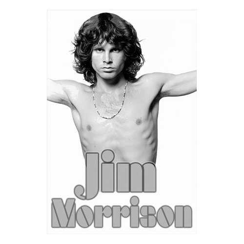 Постер СТ-Диалог Jim Morrison, МУЗ-314, бумага, 40х60 см в Керхер