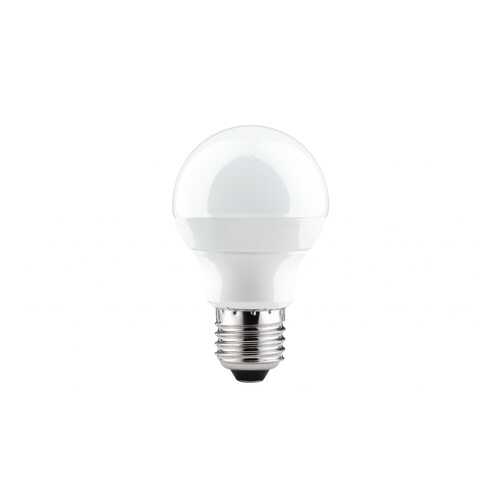 LED Globe 60 4,5W E27 230V 250Lm 2700K 28230 в Керхер