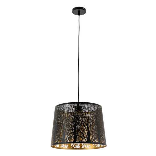 Светильник Arte Lamp CELESTA A2769SP-1BK в Керхер